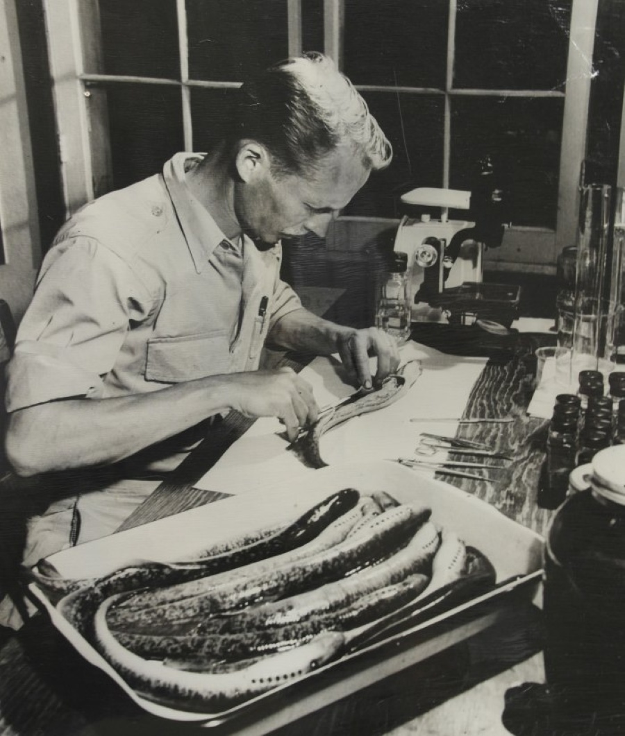 Applegate 1947.jpg
